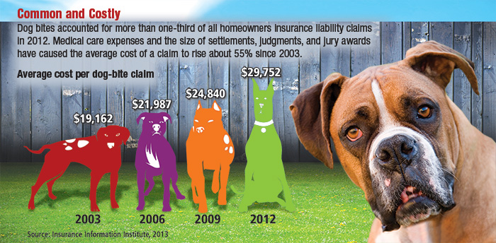 how much does a dog bite lawsuit cost