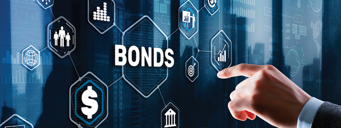 Individual Bonds vs. Bond Funds: What’s the Difference? | Alon Haim ...